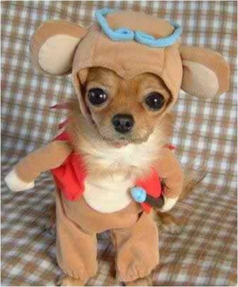 Se trata de una Navidad regalo