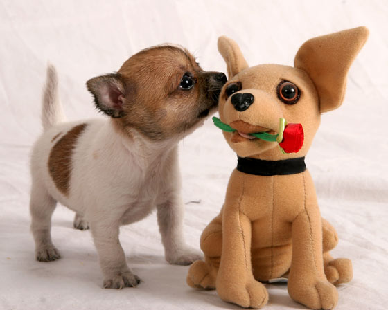 Se trata de una Navidad regalo