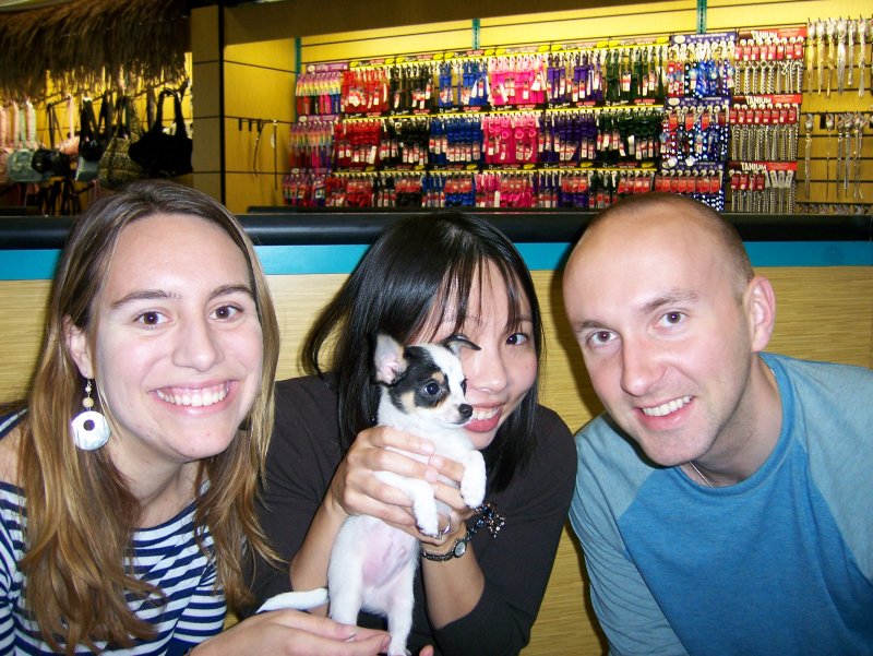 Chihuahua
