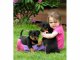 Excelentes Cachorro de Rottweiler para adoção